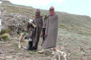 Lesotho herders