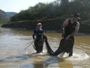 Collecting fyke net in Great Fish river