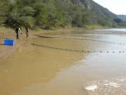 Seine netting in Great Fish River