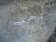40.000 jaar oude bokkies op de rotswand
