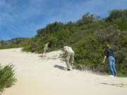 How to conquer the sandy dune
